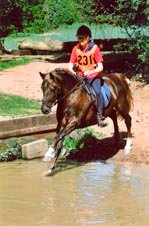 Hollybrooke Tinker
